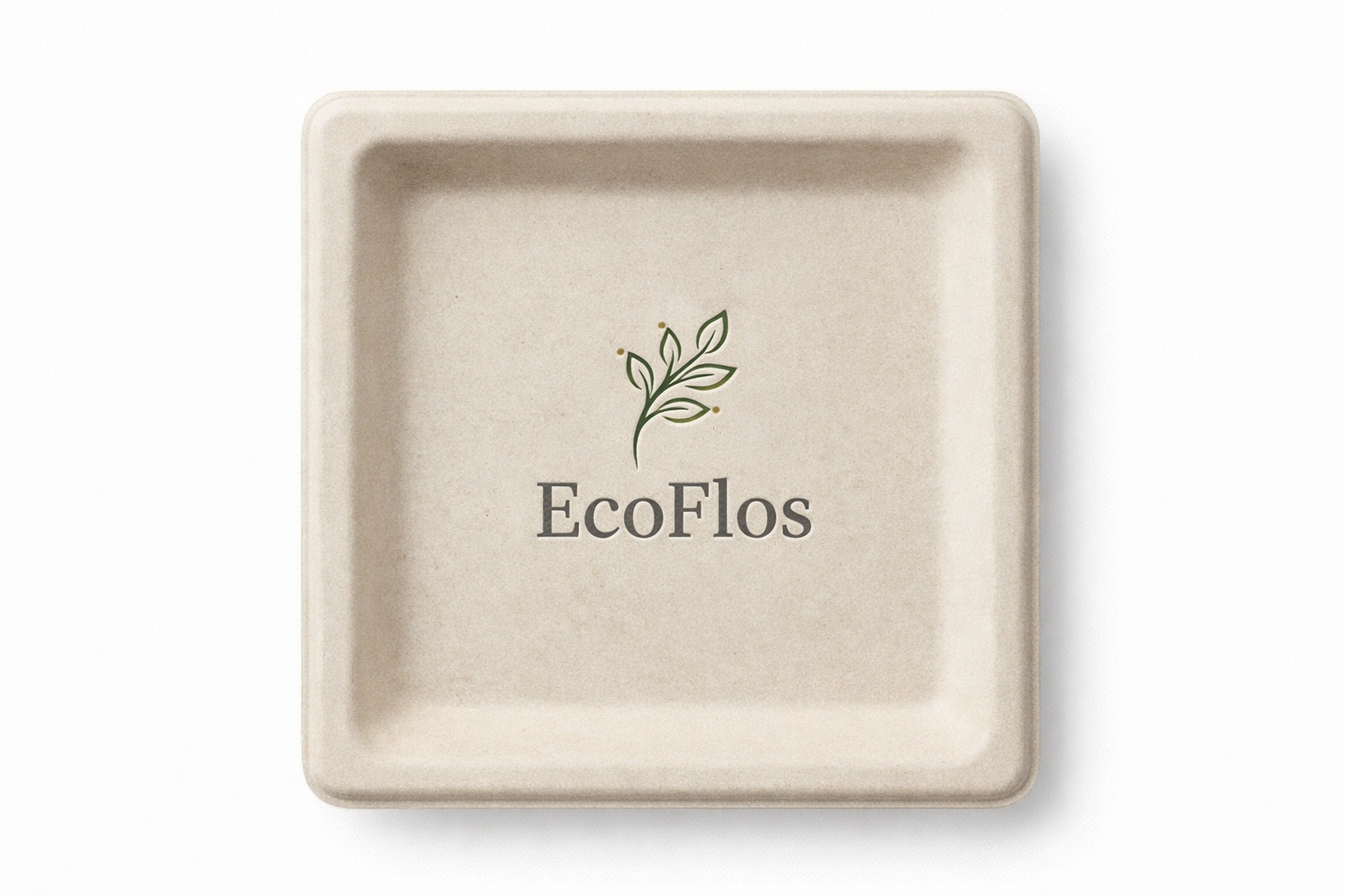 10 Inch Plain Round Plate